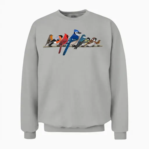 Colorful Garden Birds Animal Drawing Biologist T-Shirt, Black Unisex Sweatshirt - Ash