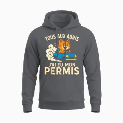 Young Driver Joke Gift Driver's License Unisex Hoodie - Charcoal