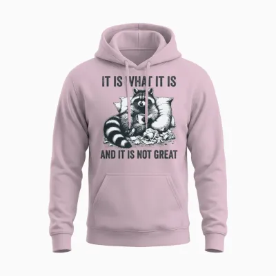 It Is What It Is and It Is Not Great Funny Unisex Hoodie - Light Pink