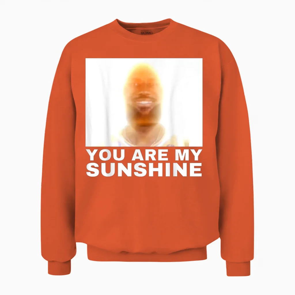 You Are My Sunshine Meme - Memes & Humor Unisex Sweatshirt in Orange