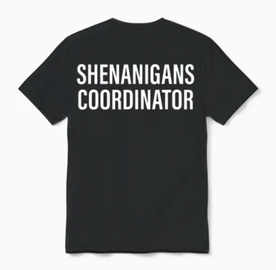 Shenanigans Coordinator Funny Unisex T-Shirt - Black
