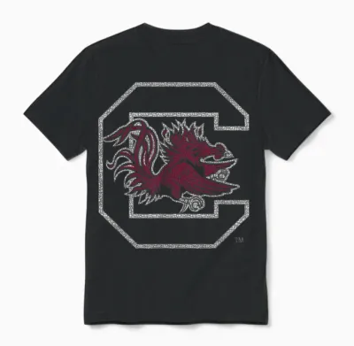 South Carolina Gamecocks Vintage Icon Black Unisex T-Shirt - Black