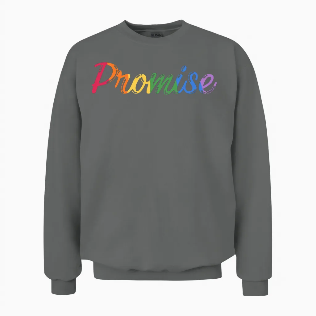 God's Promise Rainbow Graphic Unisex Sweatshirt in Graphite Heather