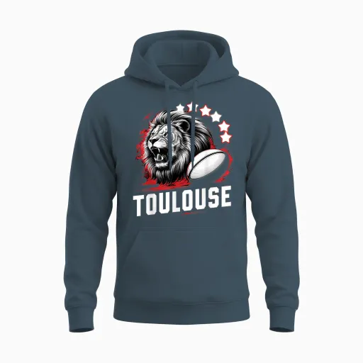 Toulouse Six Stars Supporter Toulouse Gift Humour Unisex Hoodie in Dark Heather