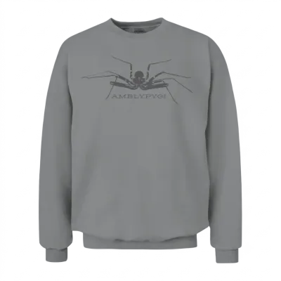 Arachnid Whispers - Amblypygi Unisex Sweatshirt - Sport Grey
