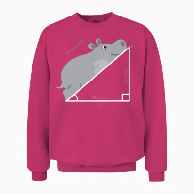 Funny Math Teacher, Funny Hippopotenuse, Geometry Unisex Sweatshirt - Heliconia