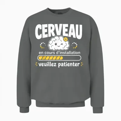 Cerveau En Cours D'installation Humour Veuillez Patienter Unisex Sweatshirt - Graphite Heather
