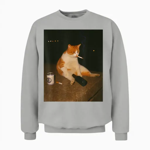 Funny Cigarette Kitten Smoking Stupid Cat Meme Brainrot Unisex Sweatshirt - Ash