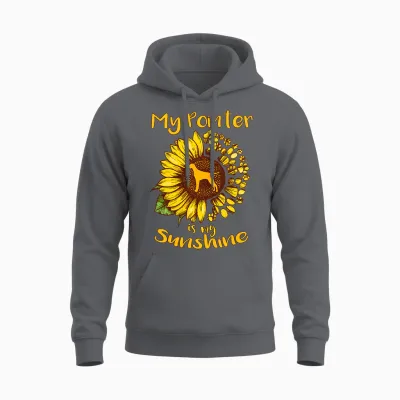 Chien D'arrêt Anglais Est Mon Rayon De Soleil Tournesol T-Shirt Haut De Gamme Unisex Hoodie - Charcoal