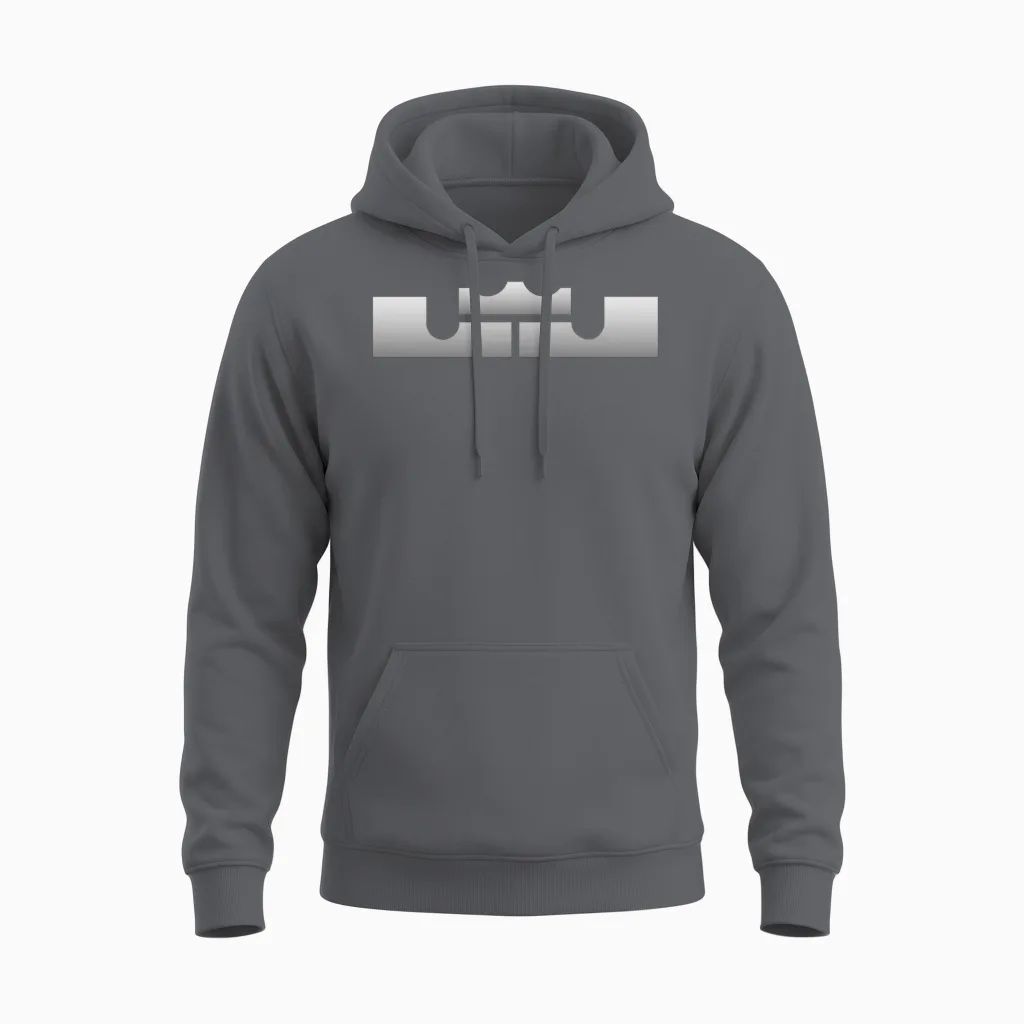 Lebron J King Logo Unisex Hoodie in Charcoal