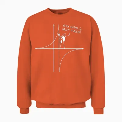 You Shall Not Pass Math Engineer Physics Funny Joke Gift T-Shirt, Black Unisex Sweatshirt - Orange