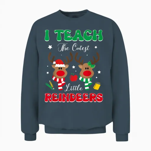 Teach the Cutest Little Reindeer Rudolph Teacher Christmas Unisex Sweatshirt - Dark Heather