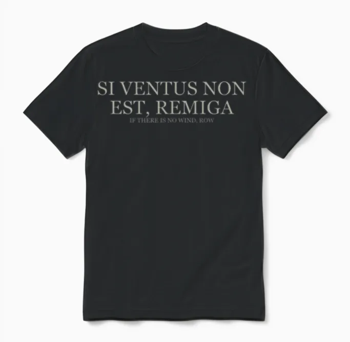 If There Is No Wind Row - Light Unisex T-Shirt in Black