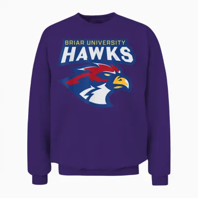 Briar University Hawks Unisex Sweatshirt - Purple