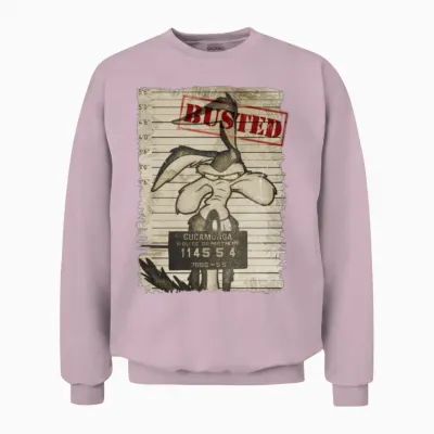 Looney Tunes Wile E. Coyote Busted Unisex Sweatshirt - Light Pink