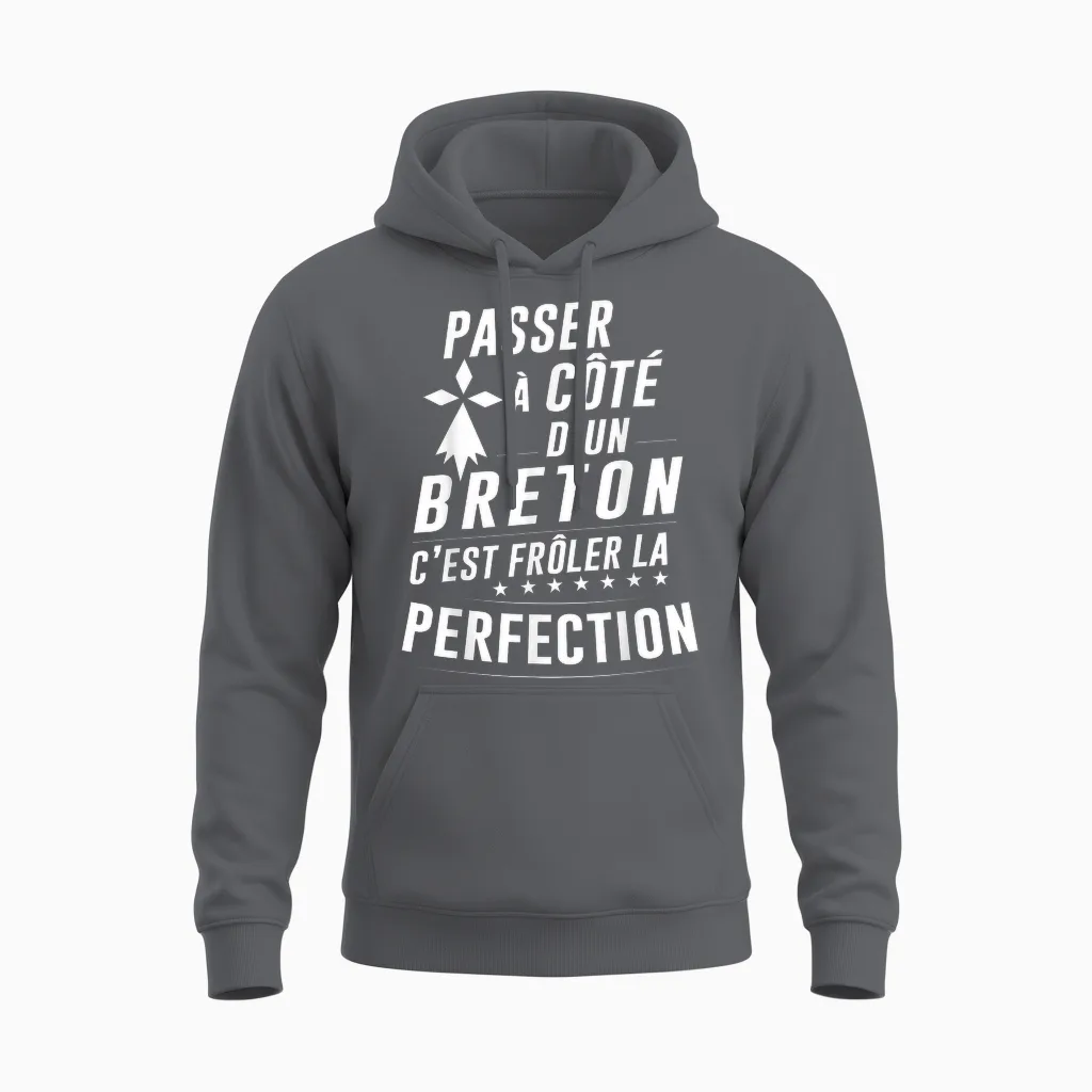 Le Breton Parfait β Gift Idea Funny Brittany Unisex Hoodie in Charcoal