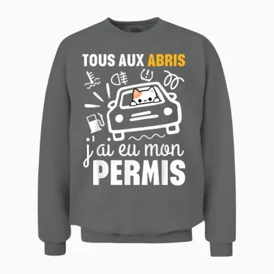 Young Driver Humor Gift Driving License T-Shirt, Black, S Unisex Sweatshirt - Graphite Heather