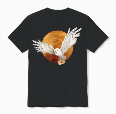 Harry Potter Hedwig Moon T-Shirt, Black Unisex T-Shirt - Black