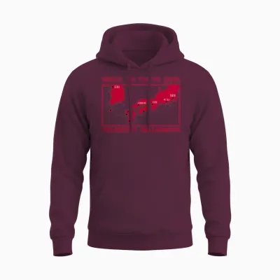 Seoul to Tokyo Cruise 2025 Unisex Hoodie - Maroon