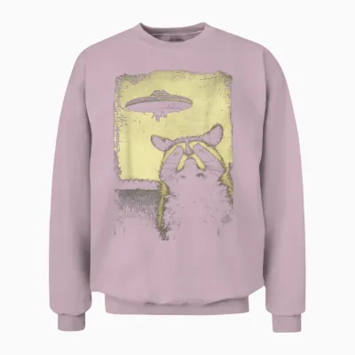 Raccoon Ufo Alien Weirdcore Aesthetic Artwork Stuff T-Shirt, Black Unisex Sweatshirt - Light Pink