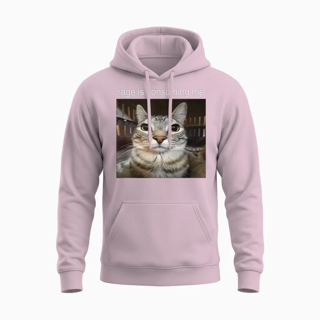 Rage Is Consuming Me Silly Staring Cat Meme Unisex Hoodie in Light Pink