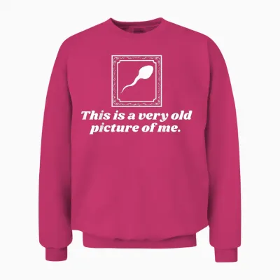 This Is a Very Old Picture of Me | Funny Unisex Sweatshirt - Heliconia