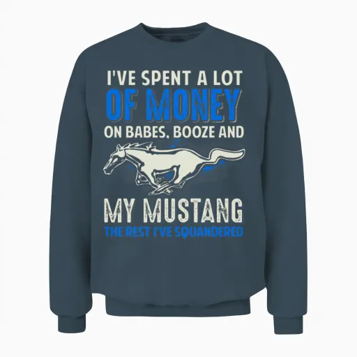 Mustang - I've Spent a Lot of Money on My Mustang Unisex Sweatshirt - Dark Heather